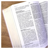 Bíblia De Estudo Joyce Meyer - NVI - Letra Grande - Capa Luxo Nude