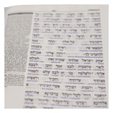 Bíblia Sagrada Interlinear Novo Testamento - Grego-Português