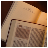 Bíblia Diária Marrom - NVI - Leitura Perfeita - Couro Soft (Kit com caderno)