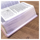 Bíblia De Estudo Joyce Meyer - NVI - Letra Grande - Capa Luxo Nude