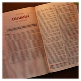 Bíblia do Pregador Pentecostal Média - ARC - Letra Normal - Capa Luxo Marrom