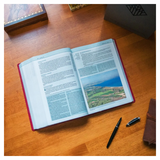 Bíblia de Estudo Thomas Nelson - NVI - Letra Normal - Capa Luxo Vinho