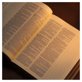 Bíblia Sagrada - ACF - Couro Soft PU - Com Espaço Para Anotações - Castanho