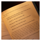 Em Todos os Sentidos - Camila Antunes
