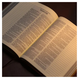 Bíblia Sagrada - ACF - Couro Soft PU - Com Espaço Para Anotações - Castanho