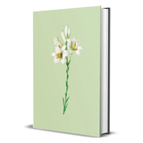 Bíblia Sagrada NVI Lírios - Capa Dura - Letra Média - NVI