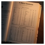 Bíblia Sagrada Cristo Vive - NVI - Letra Maior - Capa Dura