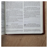 Bíblia Sagrada Bilíngue - Português E Inglês - NVI - Letra Normal - Capa Luxo Marrom