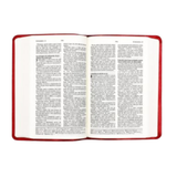 Bíblia de Bolso - ARC - Referências Cruzadas - Concordância - Rosa - (Português de Portugal)