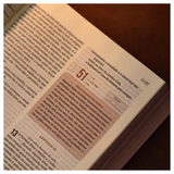 Bíblia Diária Marrom - NVI - Leitura Perfeita - Couro Soft (Kit com caderno)