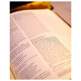 Bíblia Mulheres - Viviane Martinello - NAA - Espaço Para Anotações - Duas Colunas - Capa Marrom