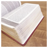 Bíblia De Estudo Joyce Meyer - NVI - Letra Média - Capa Marsala