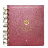 Bíblia Sagrada NVT - Fé Ilustrada