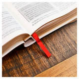 Bíblia Campo De Batalha Da Mente - NVA - Letra Normal - Capa Luxo Branca