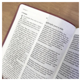 Bíblia De Estudo Joyce Meyer - NVI - Letra Média - Capa Marsala