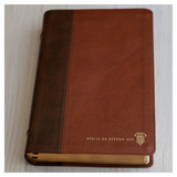 Bíblia De Estudo ACF - Letra Normal - Couro Soft Marrom