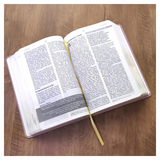 Bíblia De Estudo Joyce Meyer - NVI - Letra Grande - Capa Luxo Nude