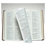 Bíblia Sagrada Slim - NAA - Marrom - Mapas mentais e Palavras de Jesus em destaque