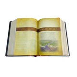 Bíblia de Estudo - King James 1611 Com Estudo Holman - BKJ - Feminina Floral