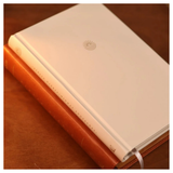 Bíblia Diária Marrom - NVI - Leitura Perfeita - Couro Soft (Kit com caderno)