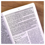 Bíblia De Estudo Joyce Meyer - NVI - Letra Grande - Capa Luxo Nude