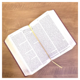 Bíblia De Estudo Joyce Meyer - NVI - Letra Média - Capa Marsala