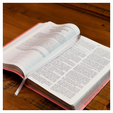 Bíblia Campo De Batalha Da Mente - NVA - Letra Normal - Capa Luxo Rosa