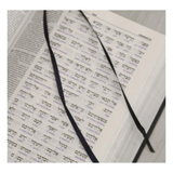 Bíblia Sagrada Interlinear Novo Testamento - Grego-Português