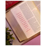 Bíblia Mulheres - Viviane Martinello - NAA - Espaço Para Anotações - Duas Colunas - Capa Marrom