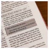 Bíblia Campo De Batalha Da Mente - NVA - Letra Normal - Capa Luxo Rosa