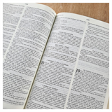 Bíblia Sagrada - Holy Bible - Português E Inglês - NVI Letra Normal - Pink