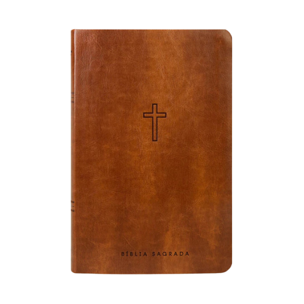 Bíblia Sagrada Slim - NAA - Marrom - Mapas mentais e Palavras de Jesus em destaque
