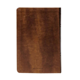 Bíblia Sagrada Slim - NAA - Marrom - Mapas mentais e Palavras de Jesus em destaque