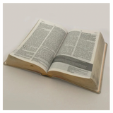 Bíblia De Estudo Joyce Meyer - NVI - Letra Média - Capa Rosa