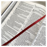 Bíblia Sagrada Ele Vive - NVI - Letra Maior - Capa Dura Ilustrada