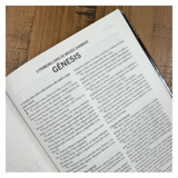 Bíblia Sagrada - ACF - Letra Grande Capa Dura - Leão Alteza