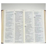 Bíblia Sagrada Slim - NAA - Marrom - Mapas mentais e Palavras de Jesus em destaque