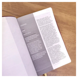 Bíblia De Estudo Joyce Meyer - NVI - Letra Média - Capa Marsala