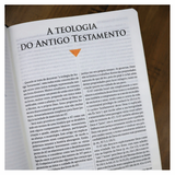 Bíblia de Estudo - NAA - Letra Normal - Tamanho Portátil - Capa Luxo