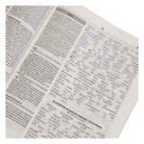 Bíblia Sagrada Interlinear Novo Testamento - Grego-Português
