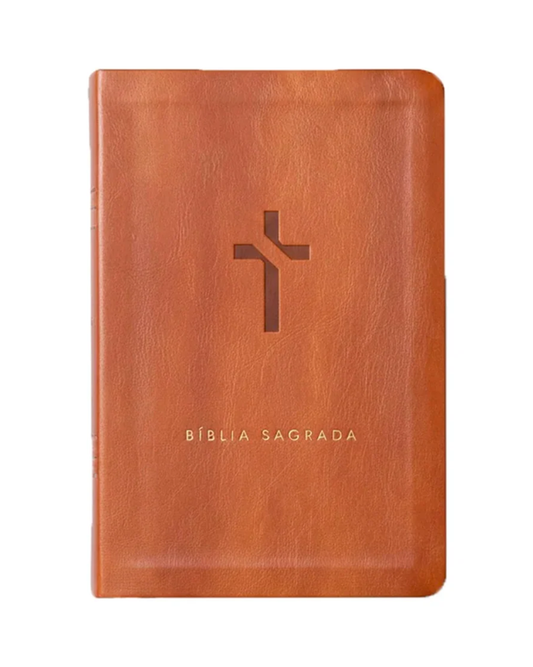 Bíblia Sagrada Slim - NVT - Marrom - Mapas mentais e Palavras de Jesus em destaque