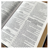 Bíblia King James 1611 Ultrafina Ampliada - Letra Normal - Capa Preta e Marrom