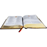 Bíblia de Estudo NAA - Preta