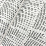 Bíblia King James 1611 Ultrafina Ampliada - Letra Normal - Capa Marrom e Vinho