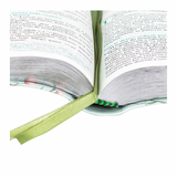 A Bíblia Da Pregadora - ARC - Luxo Flores Verde E Salmão